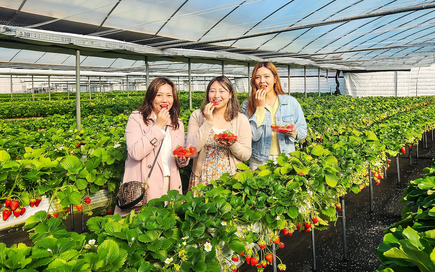 Seoul One Day Tour: Nature & Scenic Views