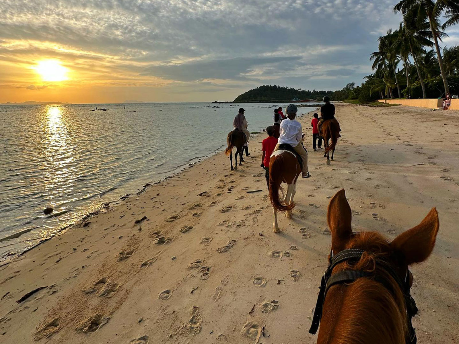 Enjoy a unique sunset horse riding adventure in Koh Samui’s lush gardens.