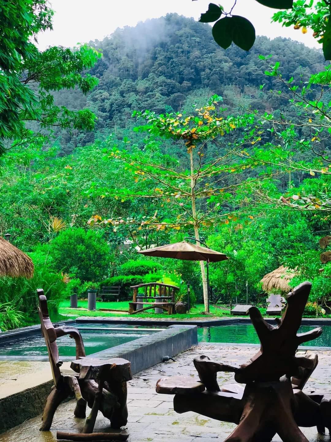 Colombo Avissawella Full-Day Private Nature Tour