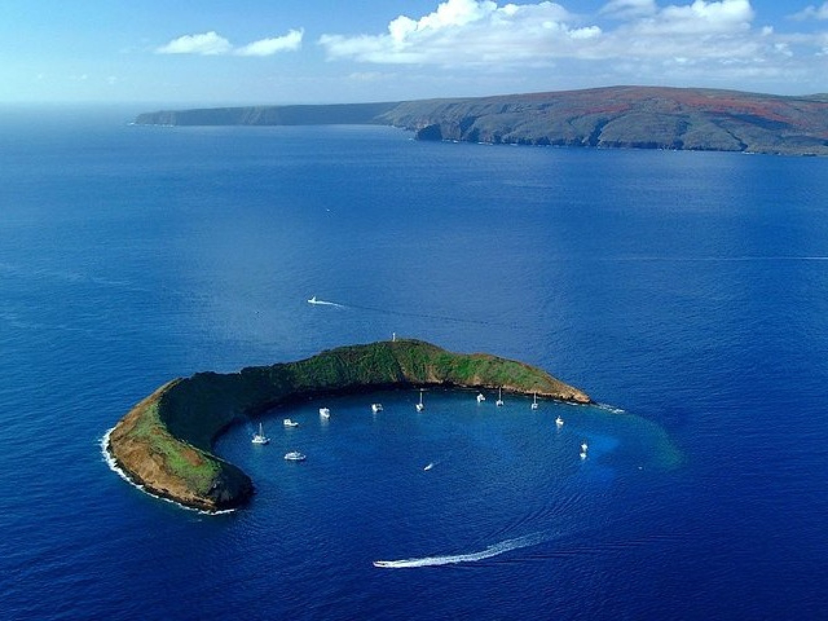 Maui: Molokini Crater and Turtle Town Snorkeling