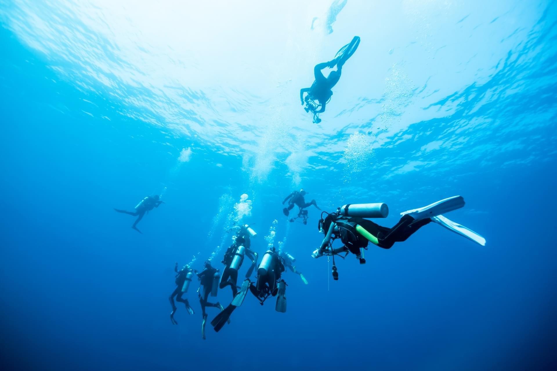 閣骨島 PADI 五星潛水中心進階開放水域潛水員課程