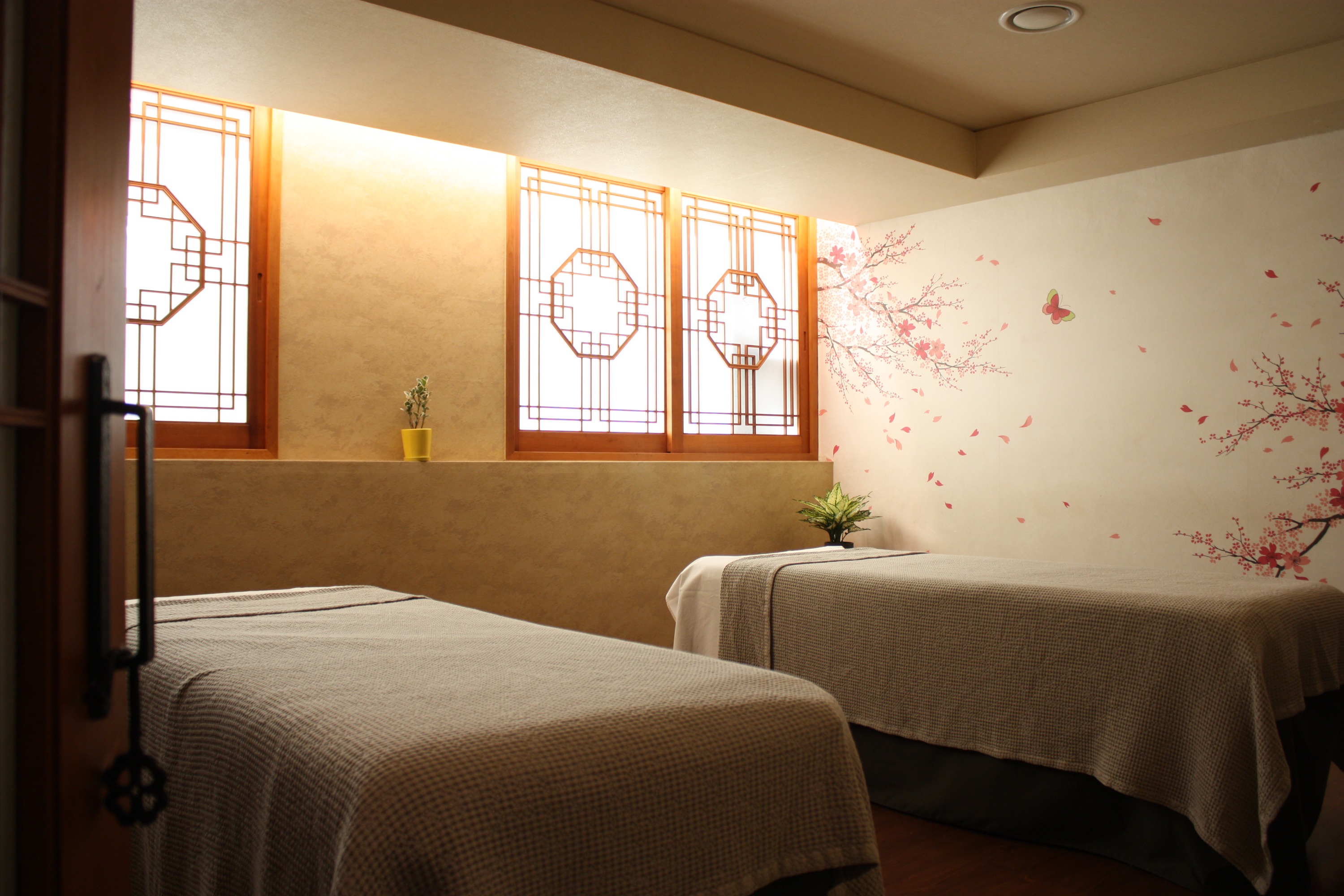 在女容國的寧靜氛圍中放鬆身心,獨特的體質療法煥發你的活力 在女容國的寧靜氛圍中放鬆身心,獨特的體質療法煥發你的活力