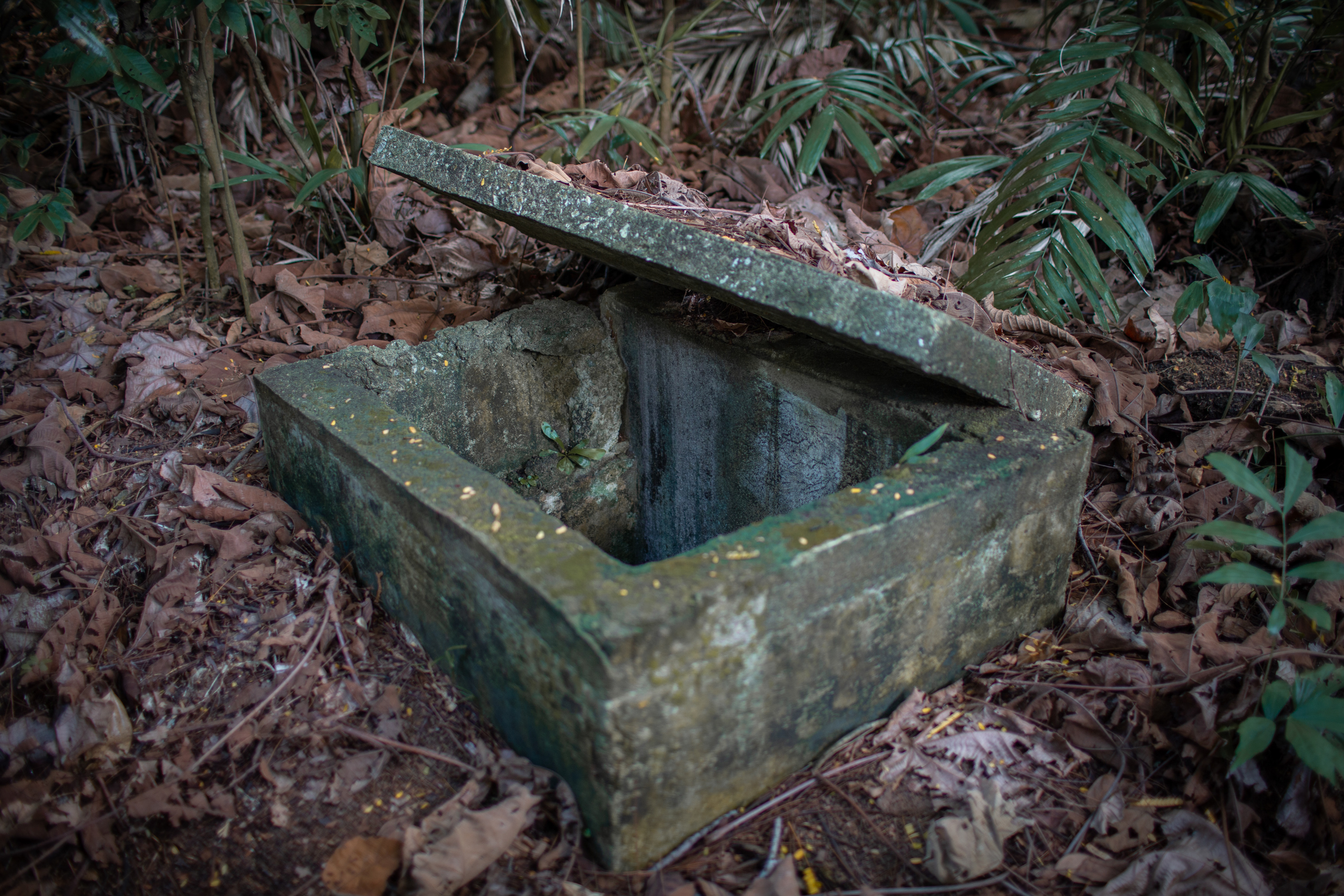 工業遺蹟和戰時秘密探險之旅