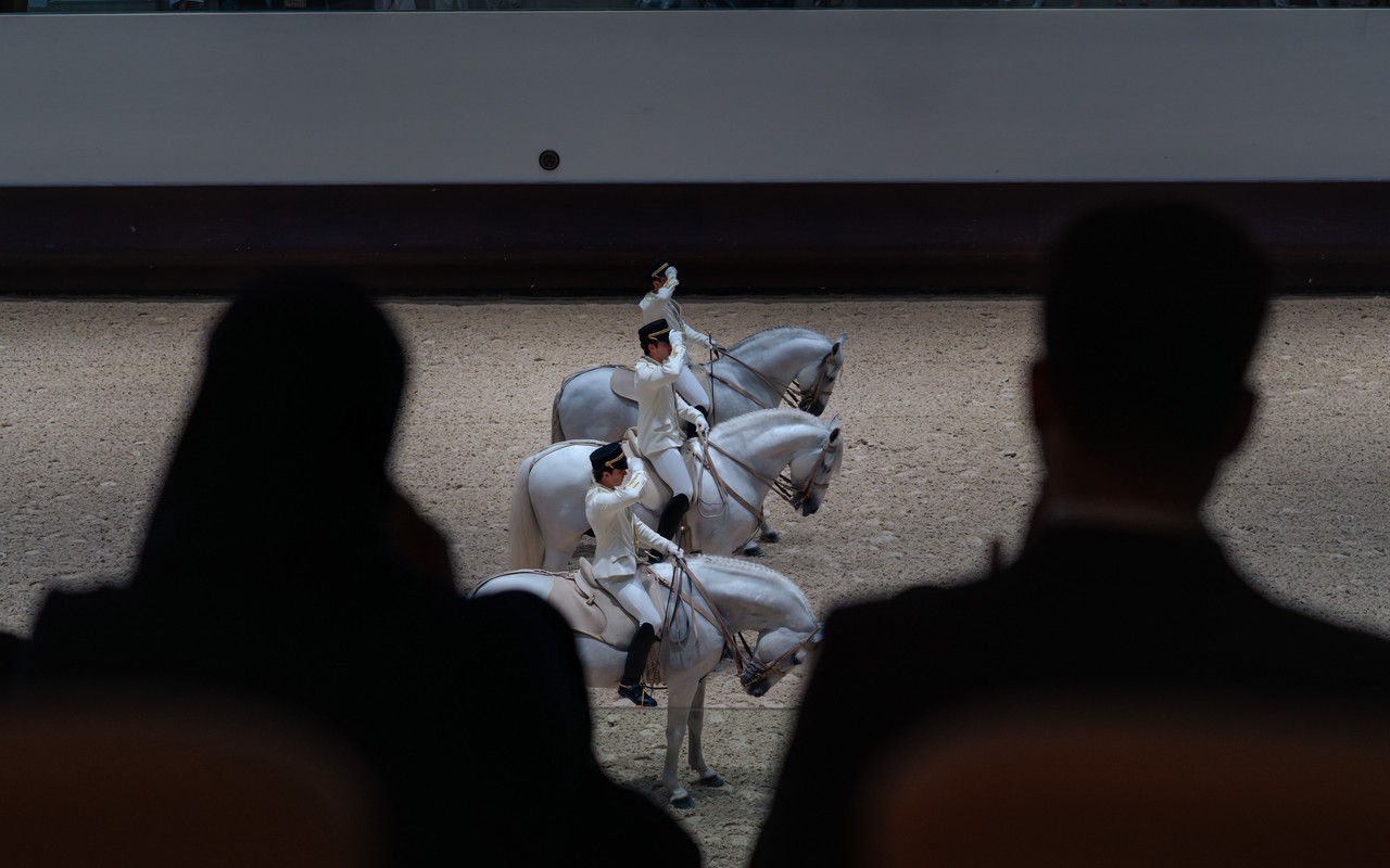 Witnessing the magnificent equestrian artistry unfold before my very eyes