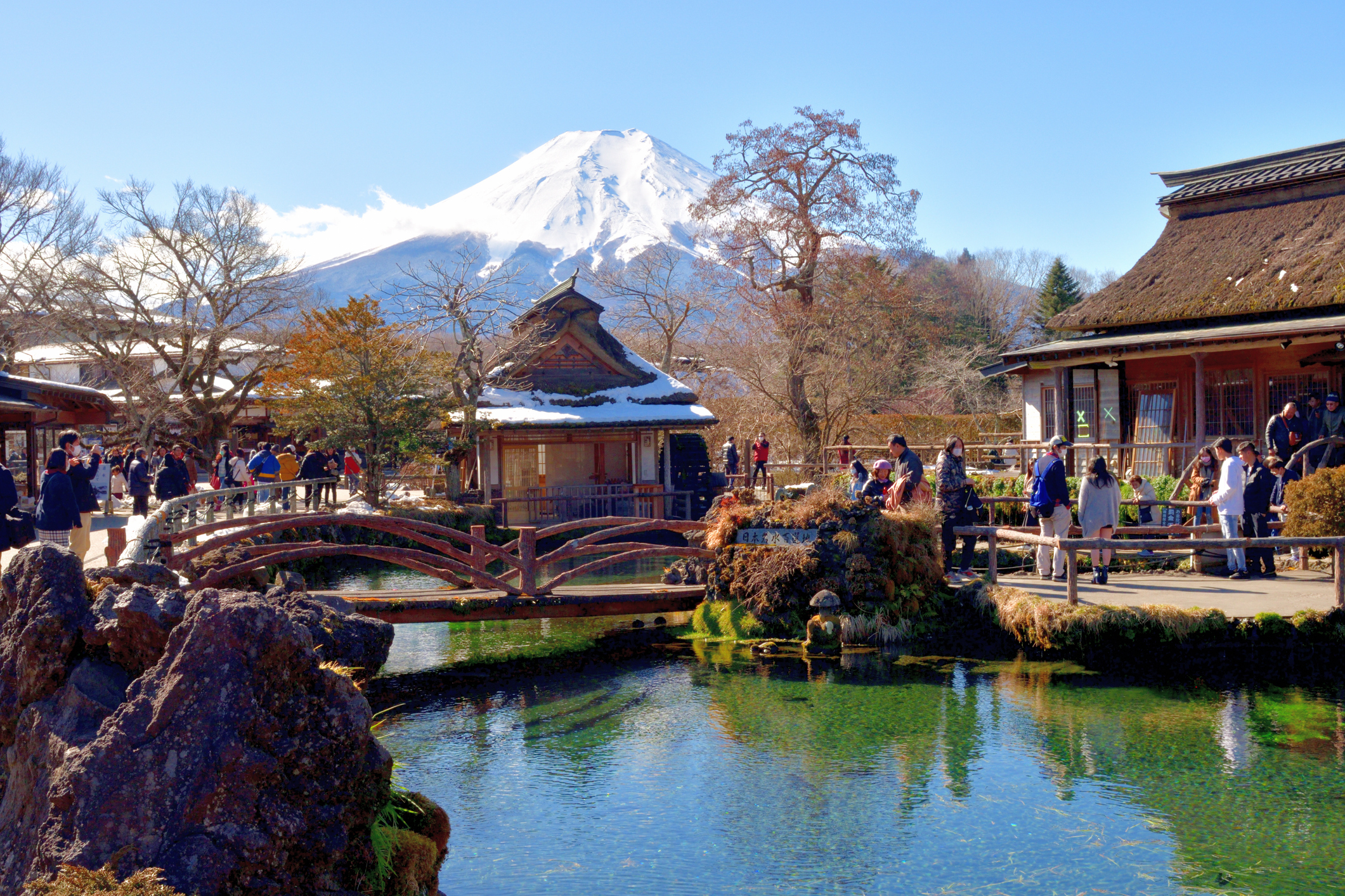 從東京出發：富士山、鎌倉、蘆之湖與忍野八海巴士之旅