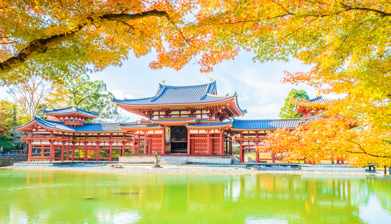 奈良公園&東大寺&春日大社&宇治&平等院&源氏物語博物館