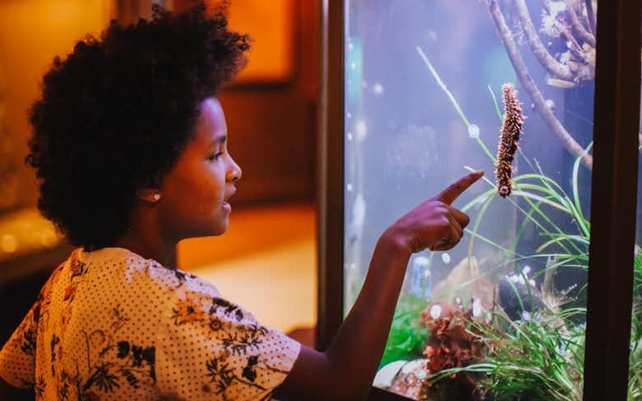 探索多樣化的展覽，深入了解不列顛哥倫比亞省的自然歷史、人文風情、植物與動物生態。