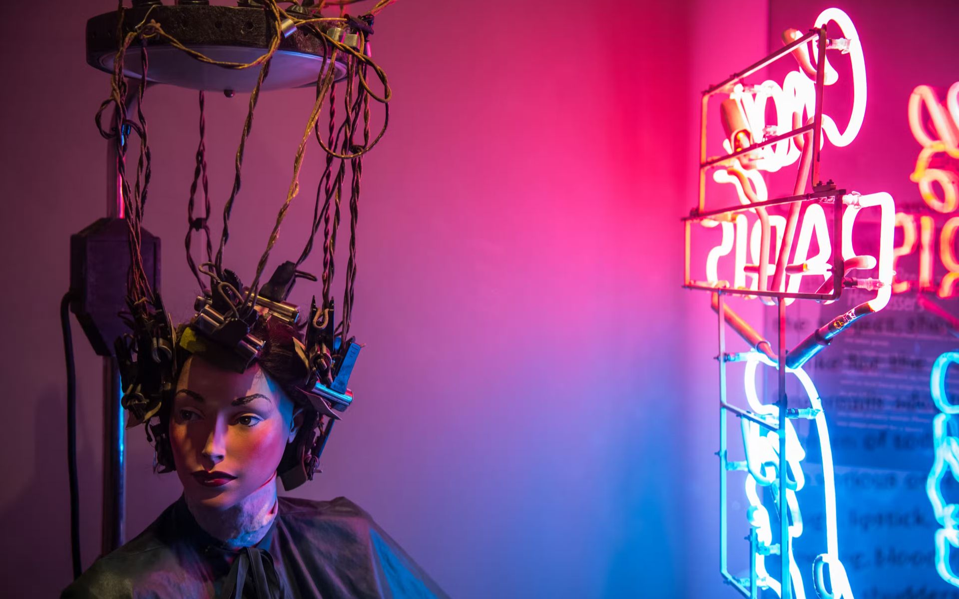 在博物館中捕捉難忘的瞬間，沉浸於生動繽紛的展覽中。