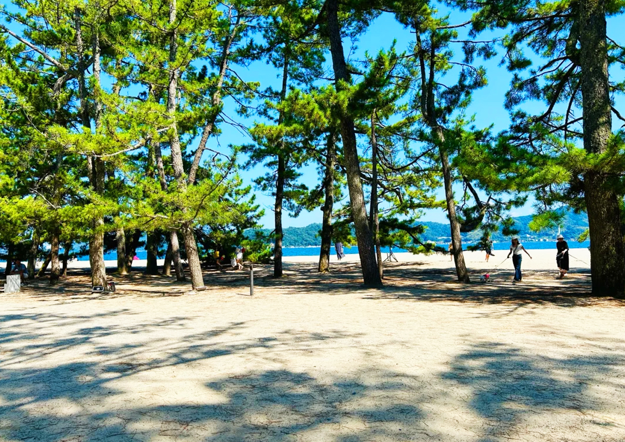 [Secret Place in Kyoto] Amanohashidate Spectacular View + Ine Funaya Fishing Port + Funaya Day + Miyama Gassho Village Thatched House Tour (Depart from Osaka)