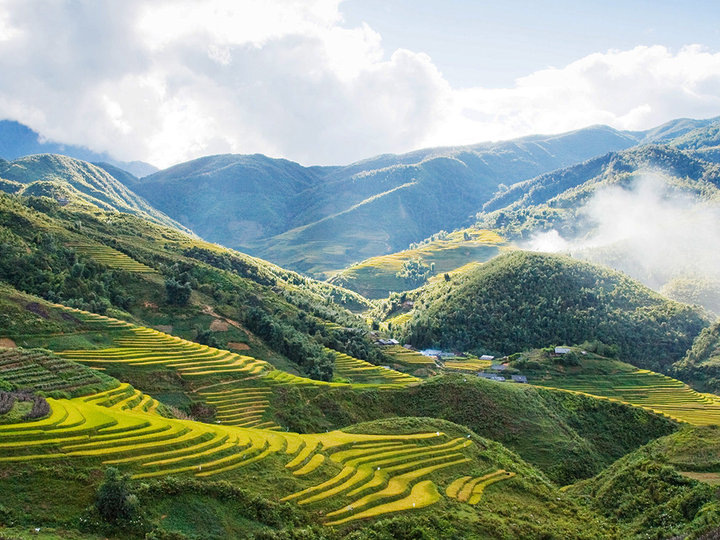 探索沙壩令人屏息的山巒美景,梯田沿著雲霧繚繞的山谷綿延不絕。 探索沙壩令人屏息的山巒美景,梯田沿著雲霧繚繞的山谷綿延不絕。