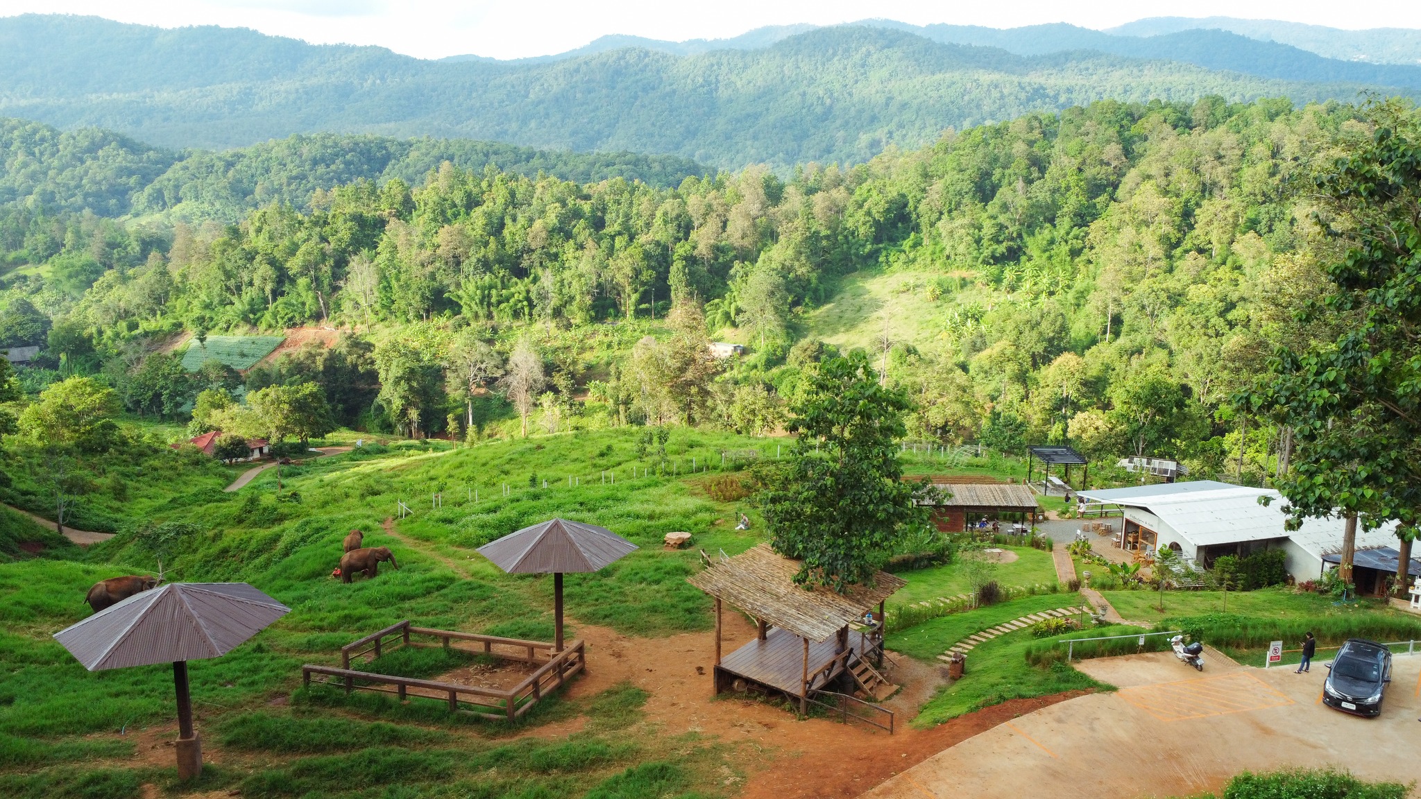 清邁 Elefin Farm & Cafe大象咖啡廳