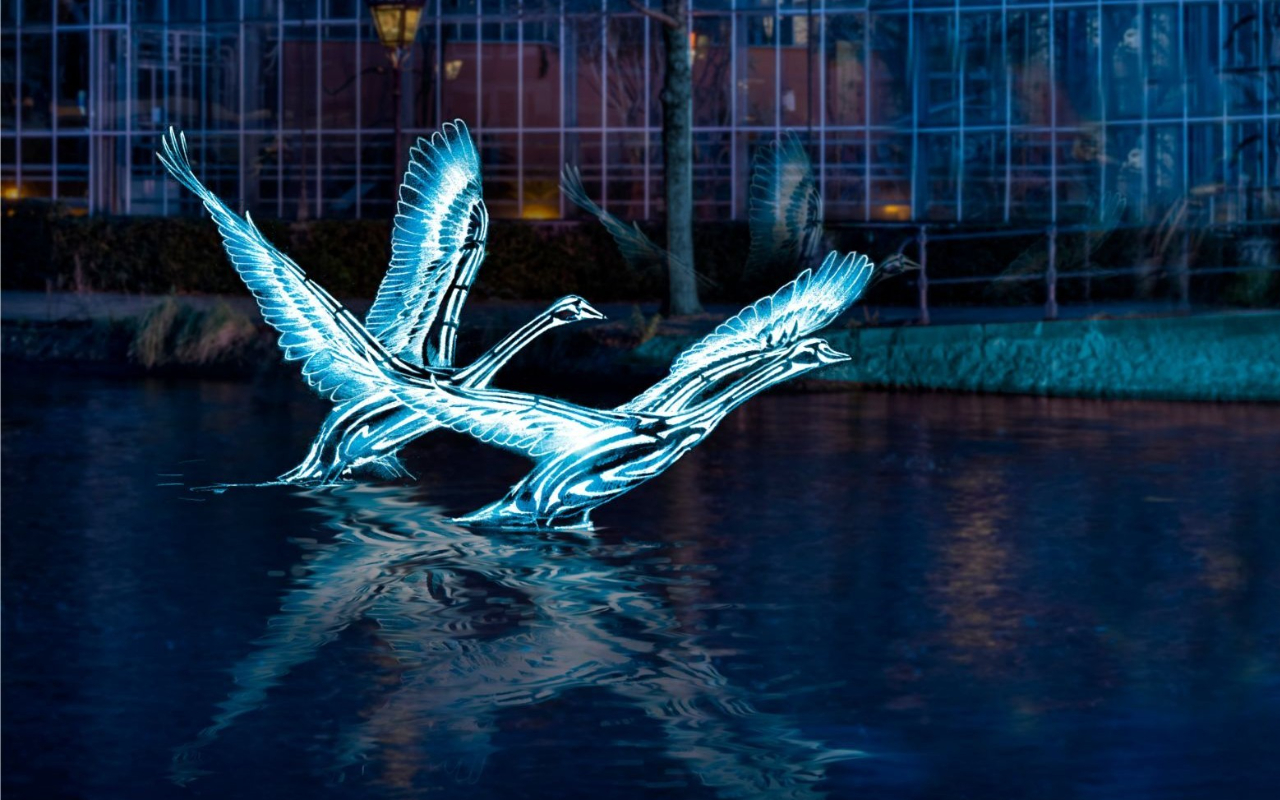 Cruise Amsterdam’s glowing canals and admire breathtaking light art masterpieces