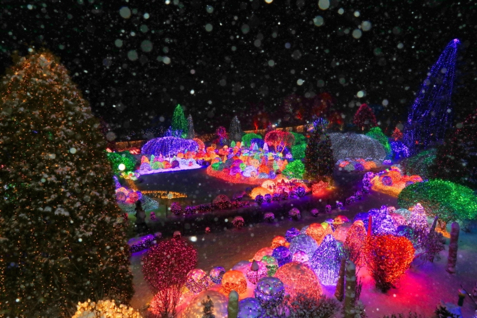 The Garden of Morning Calm is famous for its enchanting Light Festival, which illuminates the winter nights with millions of colorful lights.