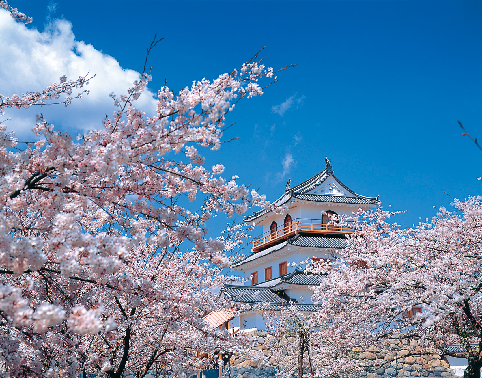 Miyagi Shiroishi Castle Cherry Blossom Viewing & Zao Fox Village Day Trip (From Sendai)
