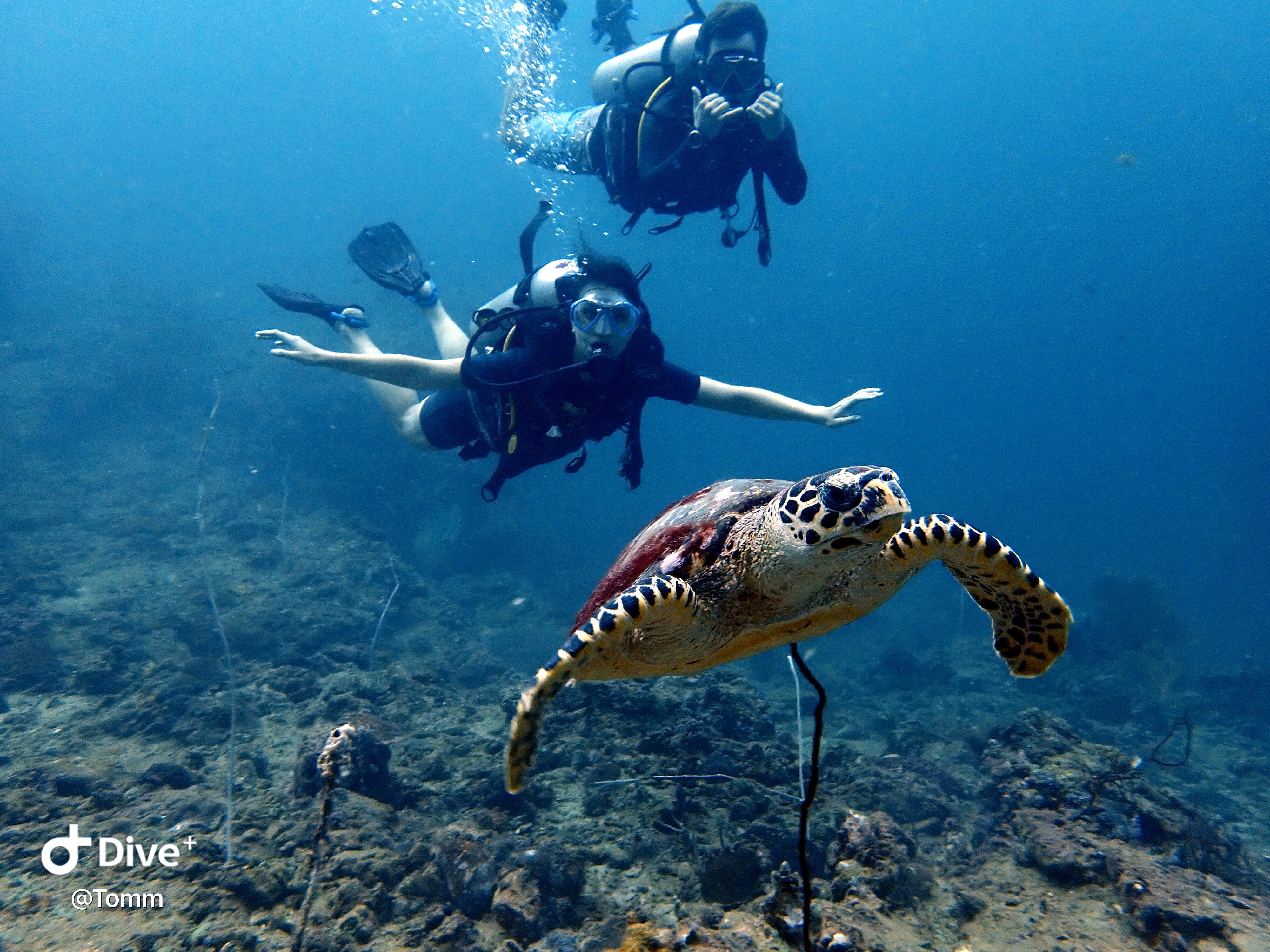 PADI ディスカバースキューバダイビングコース（ピピ島 / PADI 5スターIDC）