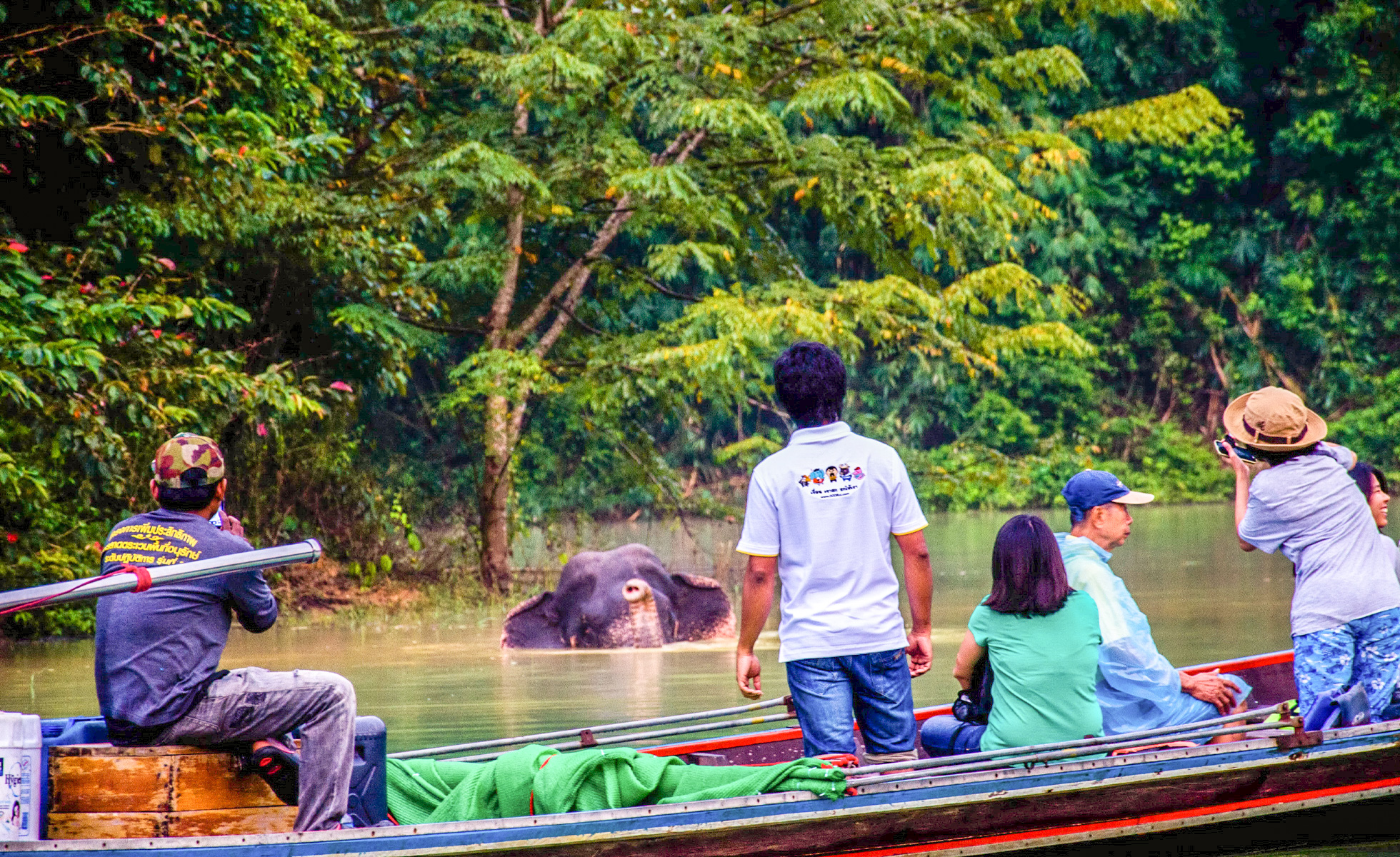 As we return to the floating resort, indulge in an afternoon wildlife safari, adding an exciting touch to your memorable journey.