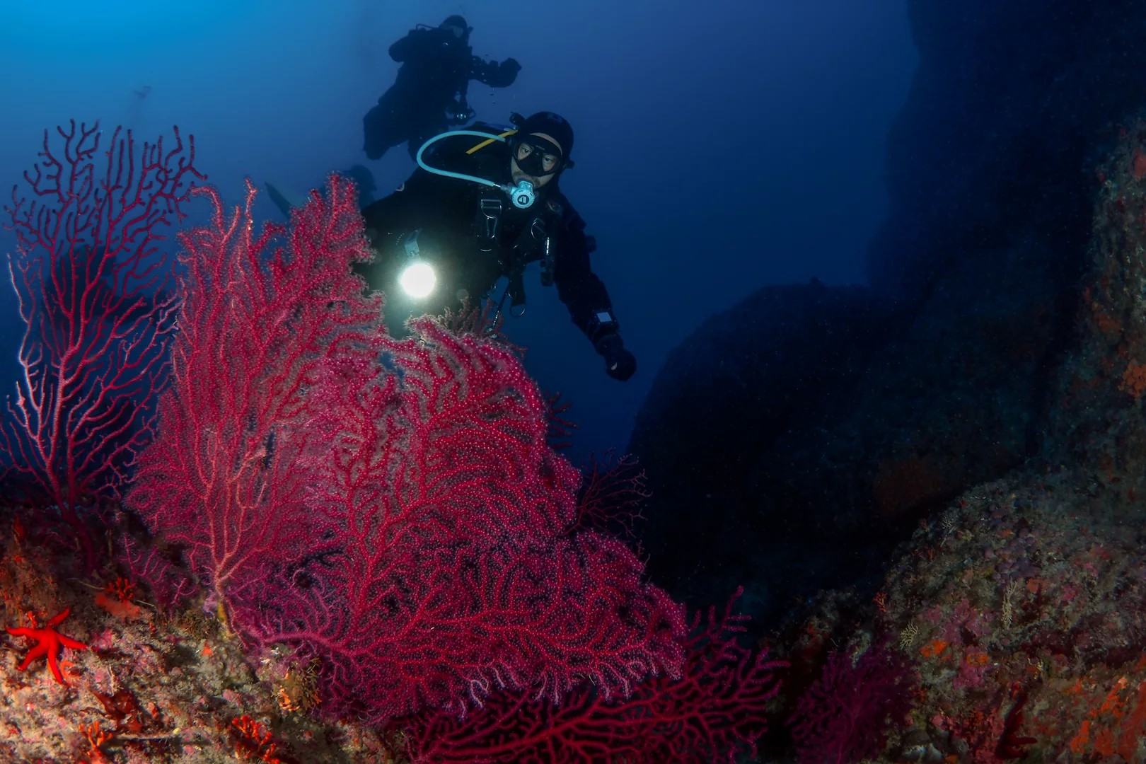 Unveiling Catania's Marine Treasures: Half-Day Dive with PADI Center
