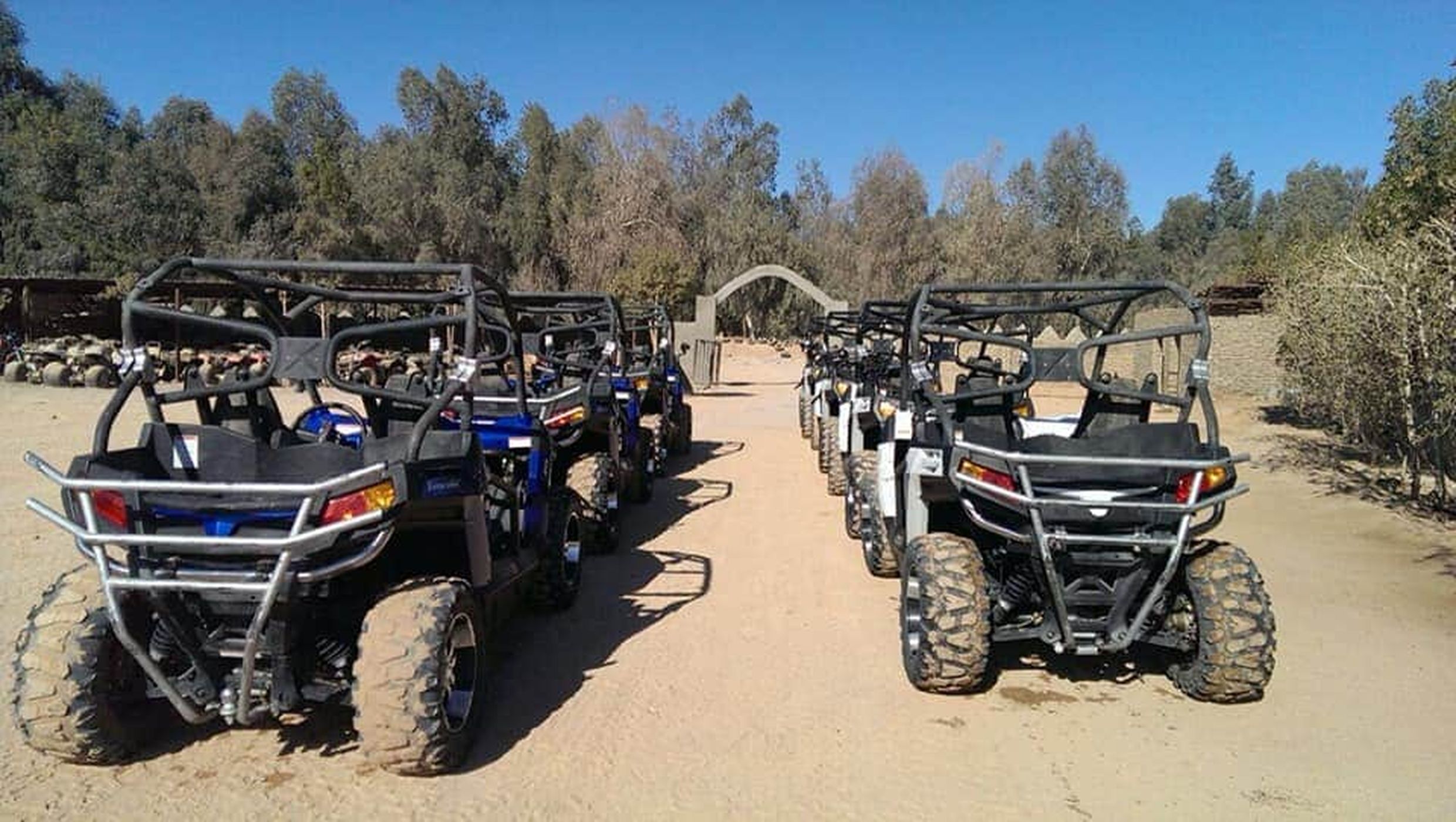沙姆沙伊赫西奈沙漠 ATV 四輪車 / 沙灘車探險之旅