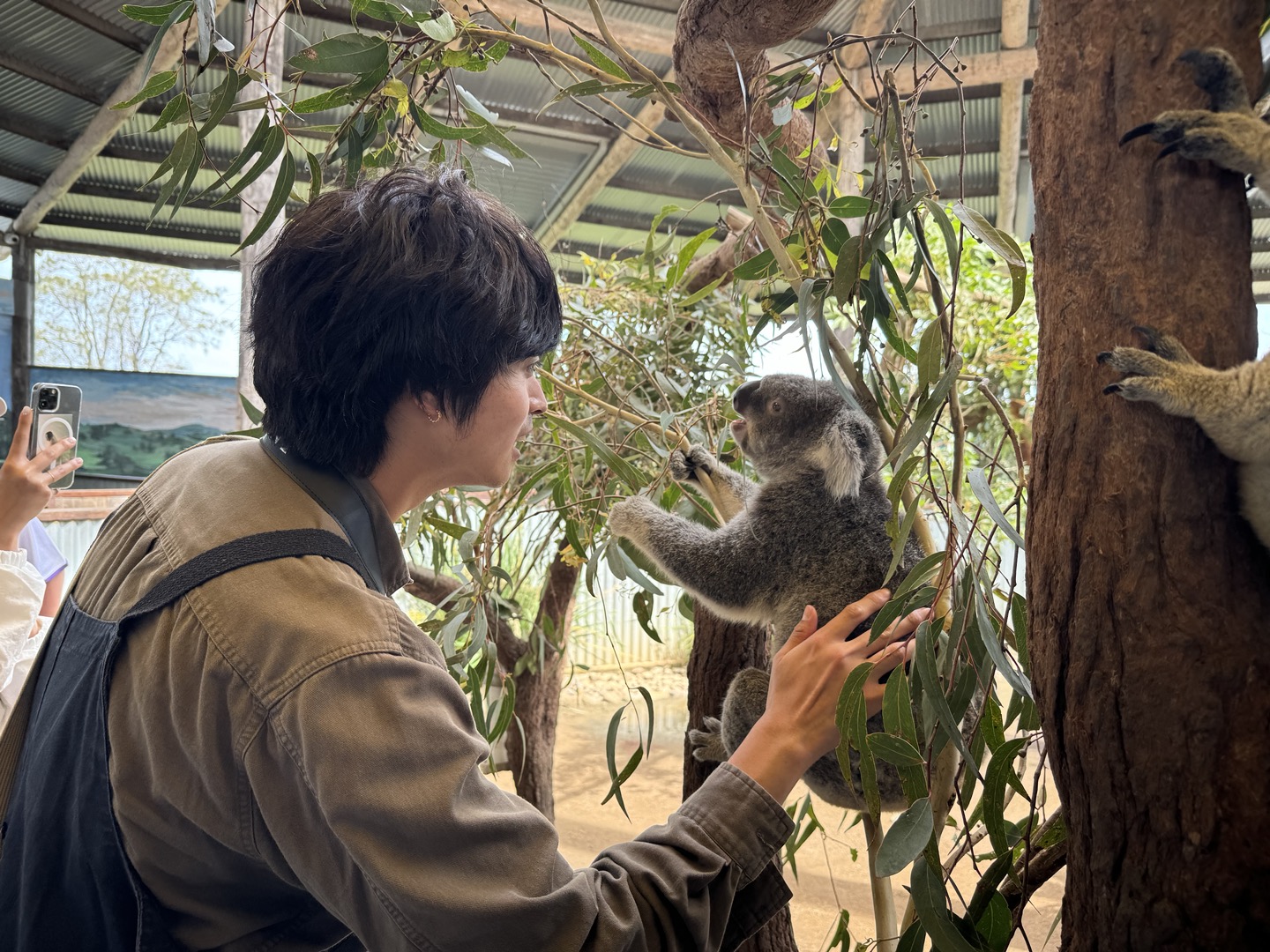 Port Stephens Day Tour with Korean Guide