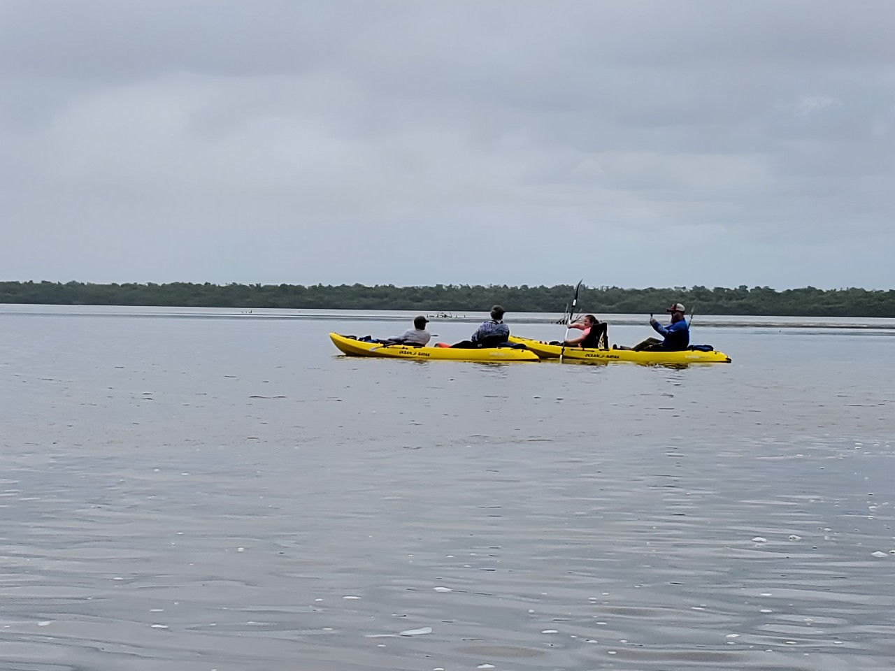 Everglades National Park Kayaking and Nature Walk with a Naturalist