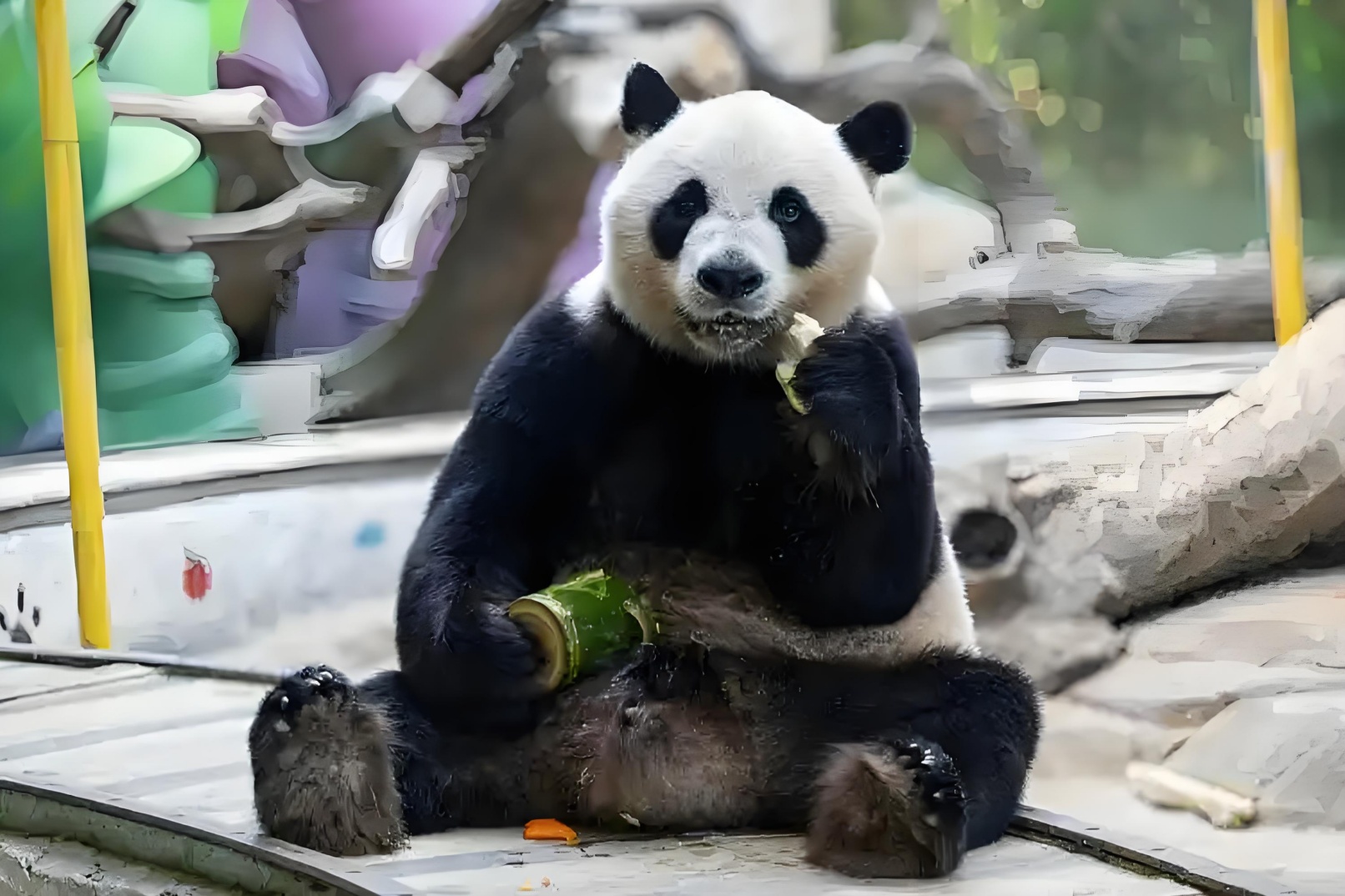 Visit Beijing, watch Peking Opera, eat roast duck, see giant pandas, and taste special food attractions