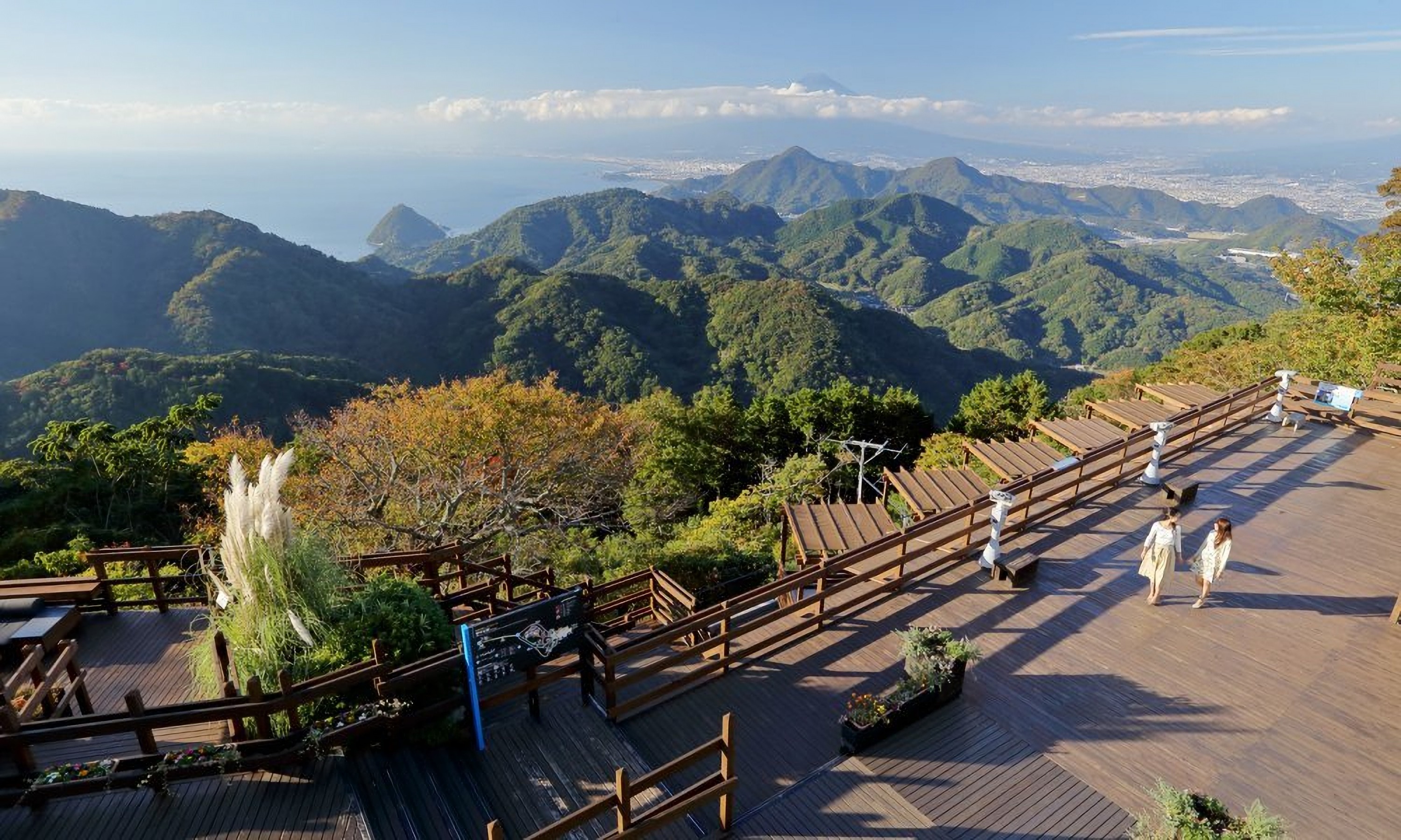 东京 伊豆自助午餐 采摘士多啤梨 索道及伊豆高原格兰帕鲁声光秀 Jr Pass 东日本东北地区铁路周游券 5日 套票