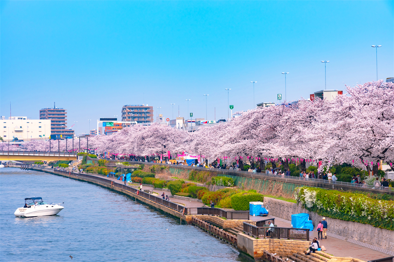 位於淺草隅田川河畔的隅田公園,以江戶時期的“墨堤之櫻”而聞名於世,古有長堤十里花如雲的美稱。隅田川的兩岸排列著長達1公里以上的櫻花樹木,多達700多株。 位於淺草隅田川河畔的隅田公園,以江戶時期的“墨堤之櫻”而聞名於世,古有長堤十里花如雲的美稱。隅田川的兩岸排列著長達1公里以上的櫻花樹木,多達700多株。