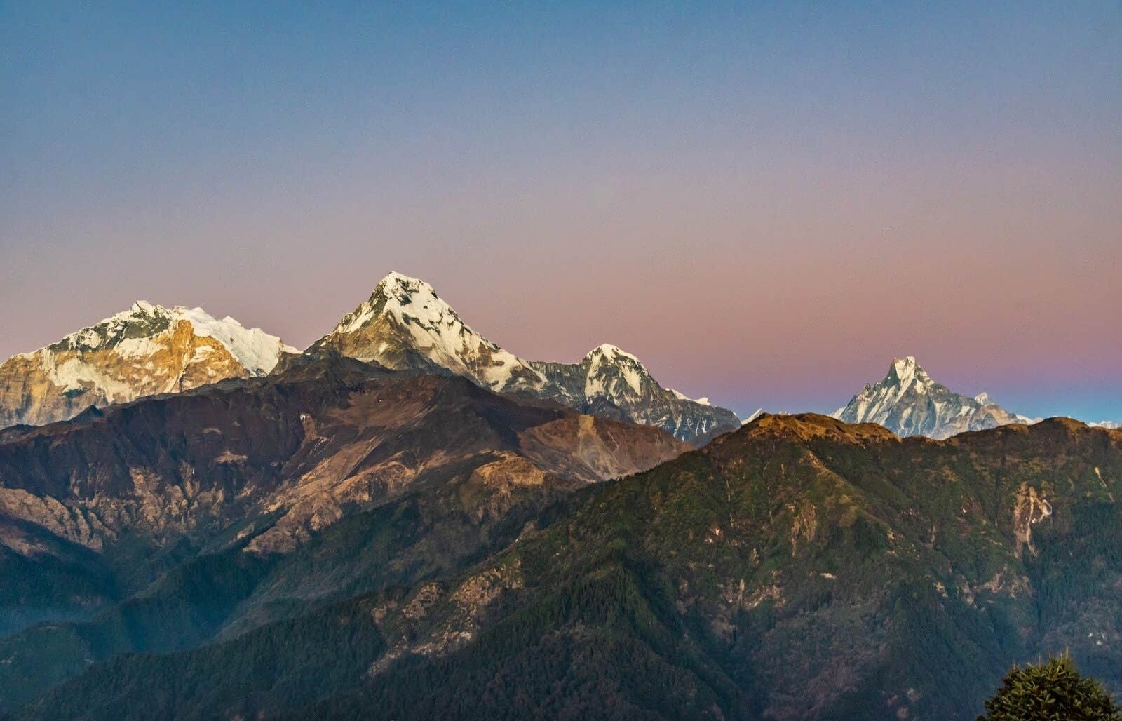 4天3夜 Ghorepani poonhill徒步之旅（博卡拉出發）