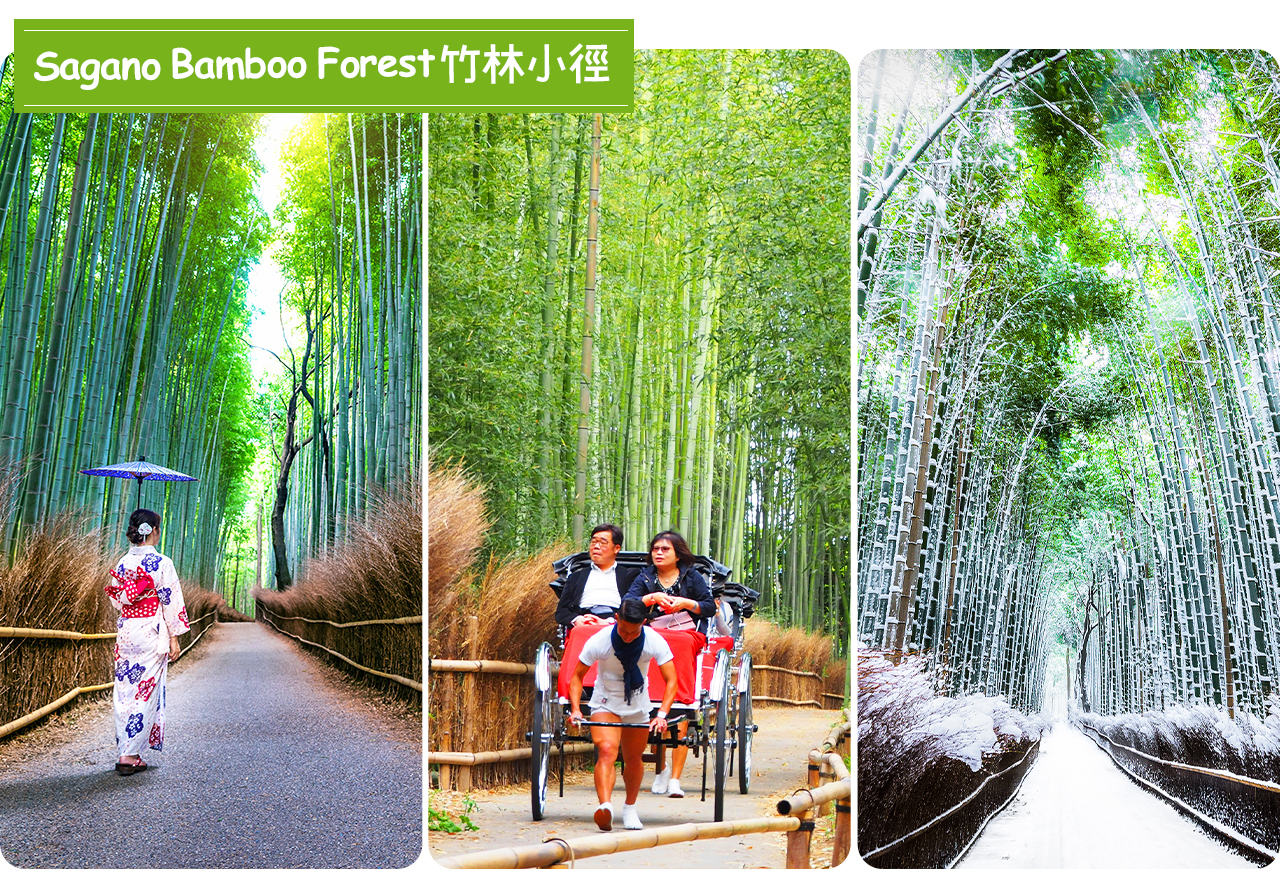 The paths in the bamboo forest of Arashiyama are quiet and winding. Take a stroll surrounded by green bamboos and experience a healing journey where nature and ancient charm are intertwined.