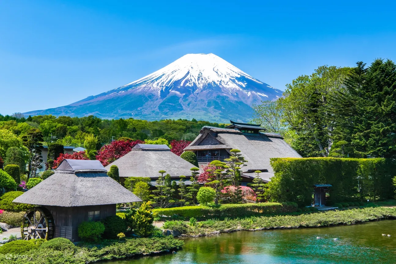富士山一日遊：賞花 & 暢遊奧特萊斯（東京出發）