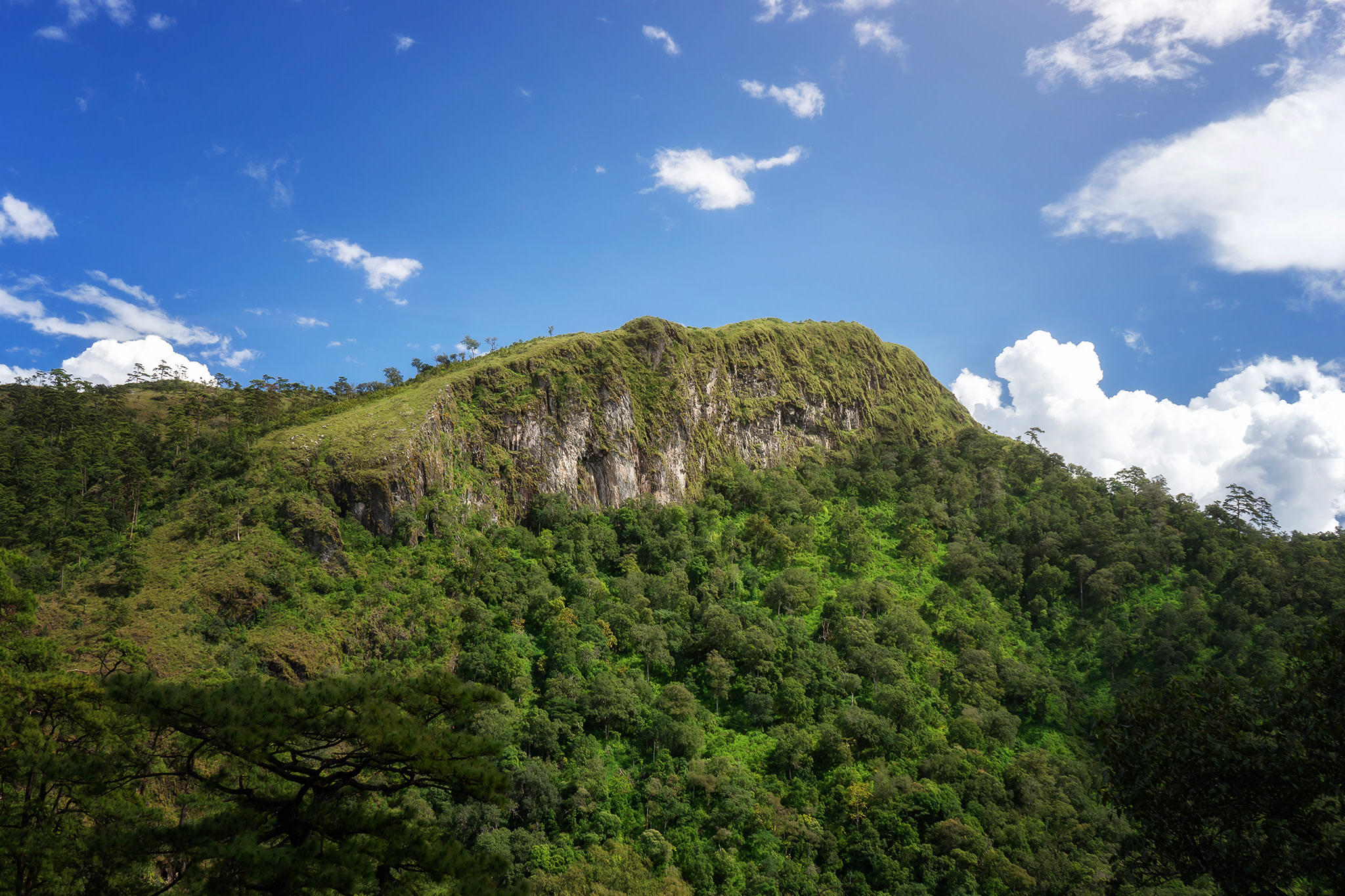 Chiang Mai: Thep Sadet & Coffee Plantation Full Day Hiking Adventure