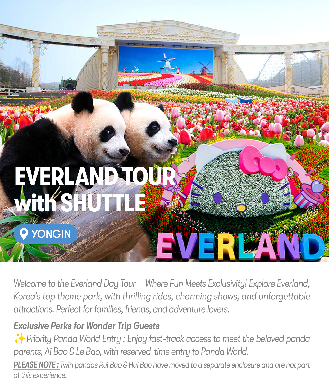 Everland Tour with Shuttle: Fast Panda World Entry (Ends 12/31)