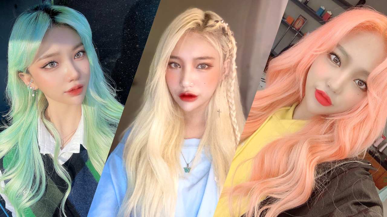 BOBORIS 首爾 (Seoul)  美髮沙龍：頭皮護理和個人色彩分析