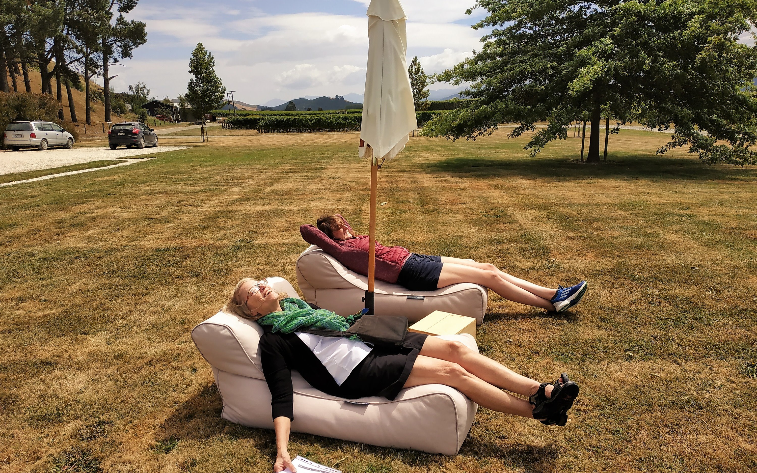 Marlborough Half-Day Wine Tasting & Sightseeing Tour