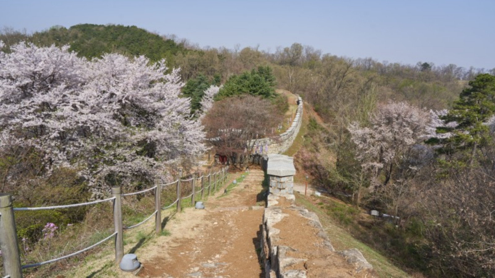江華島賞櫻／斜坡滑車／傳統文化體驗一日遊