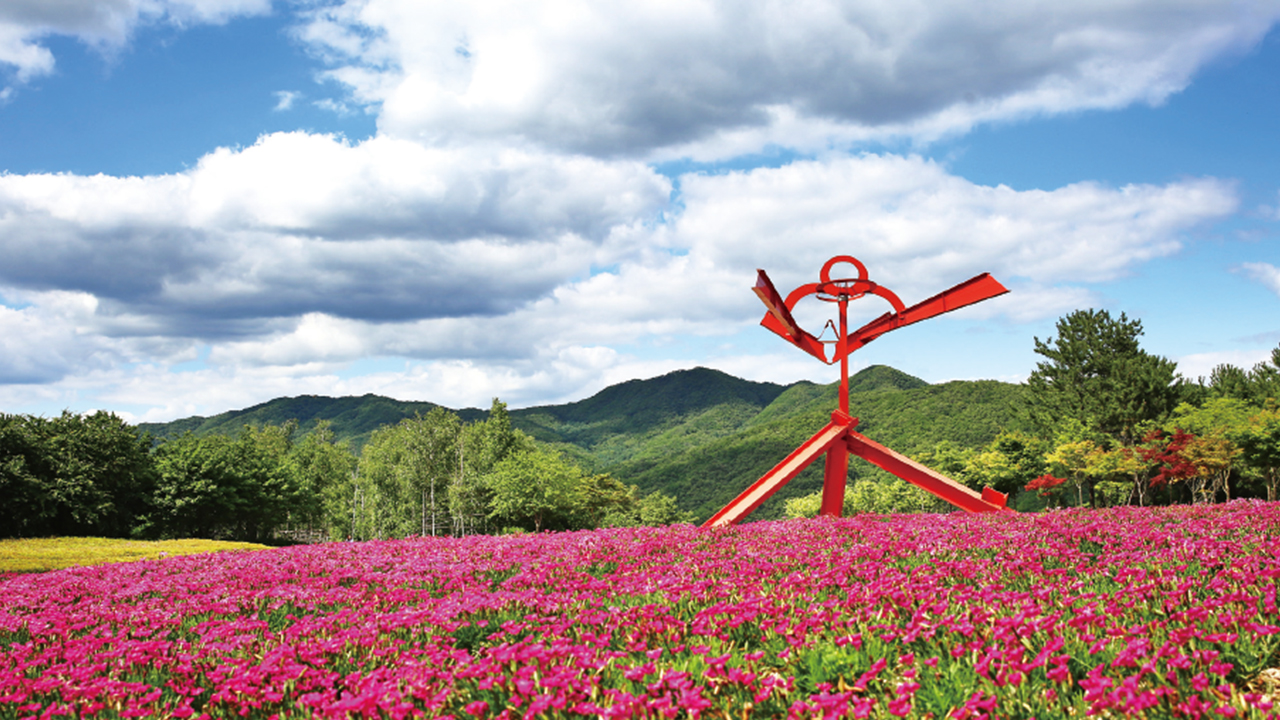 Wonju Must-Visit Attractions Day Tour｜Museum SAN × Nature