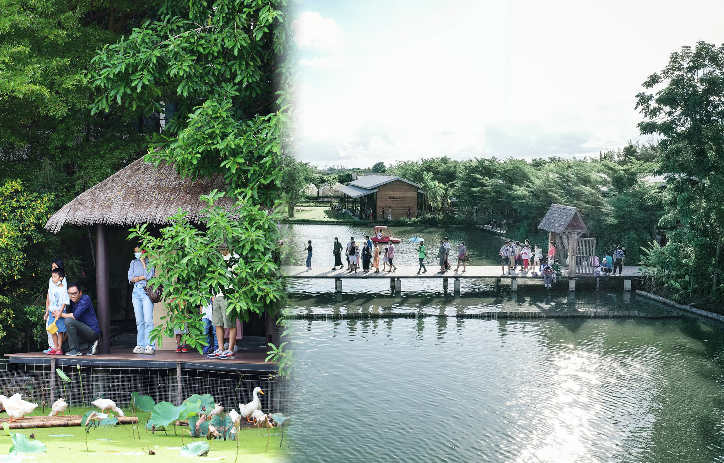 曼谷私人3家咖啡館 + 廊曼水上市場一日遊