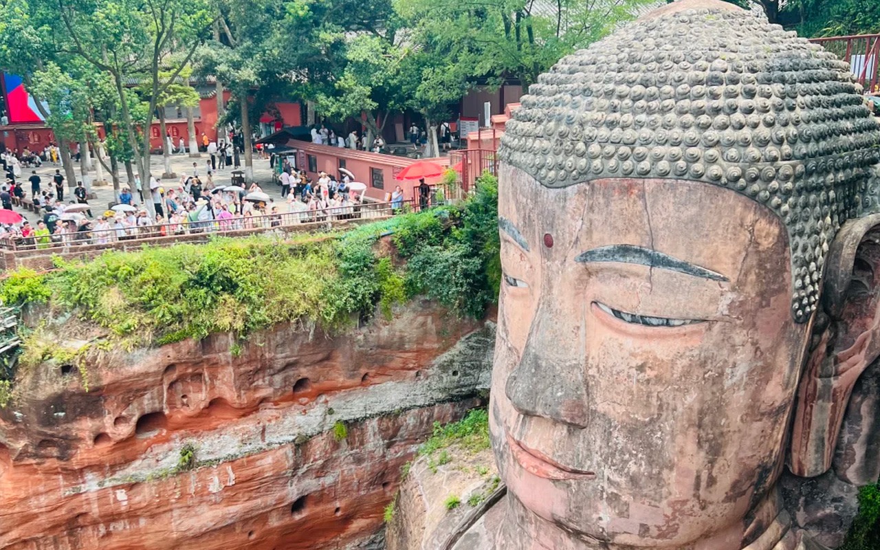 Panda Base + Leshan Giant Buddha 8-person small group one-day tour (English-speaking guide optional)