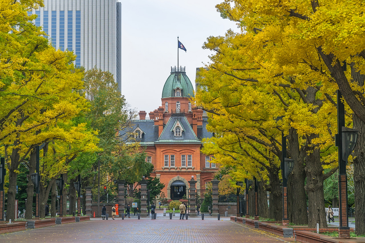 Sapporo│Muslim-friendly walking tour (with Wagyu Halal Ramen)