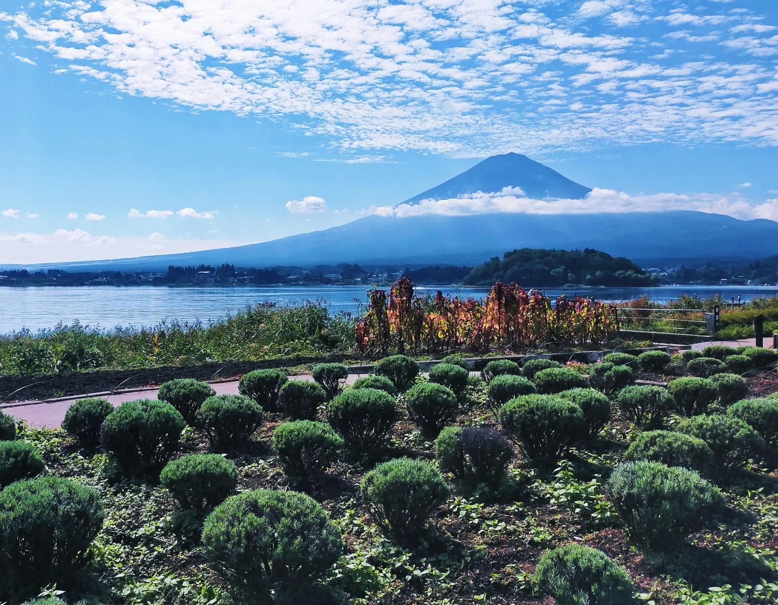 One-day tour of Mt. Fuji and Lake Kawaguchi, Arakurayama Sengen Park, Lake Kawaguchi, Oishi Park, Saiko Healing Center