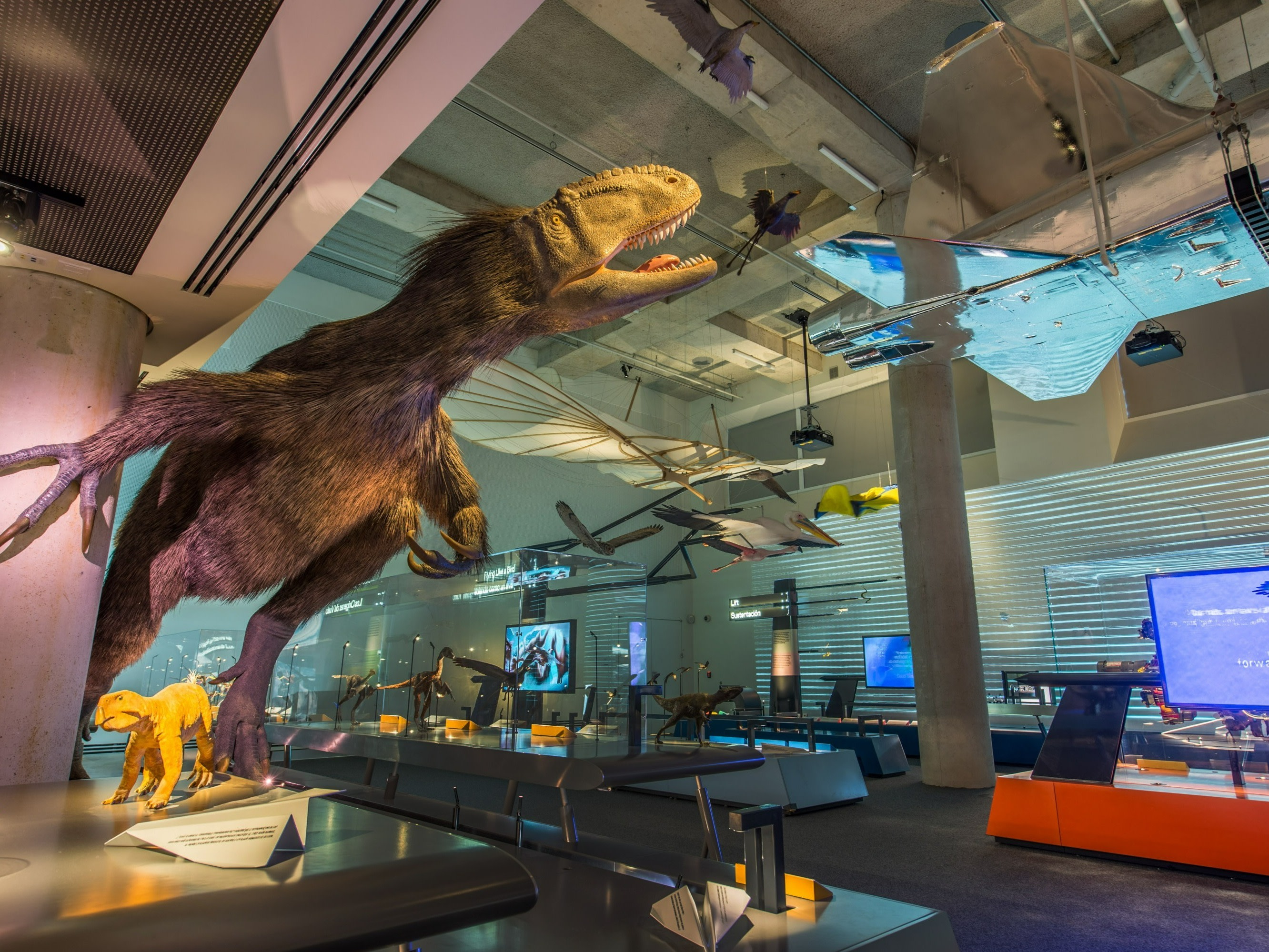 在「羽毛到星辰」展區,駐足於高聳的恐龍骨骼下方 在「羽毛到星辰」展區,駐足於高聳的恐龍骨骼下方