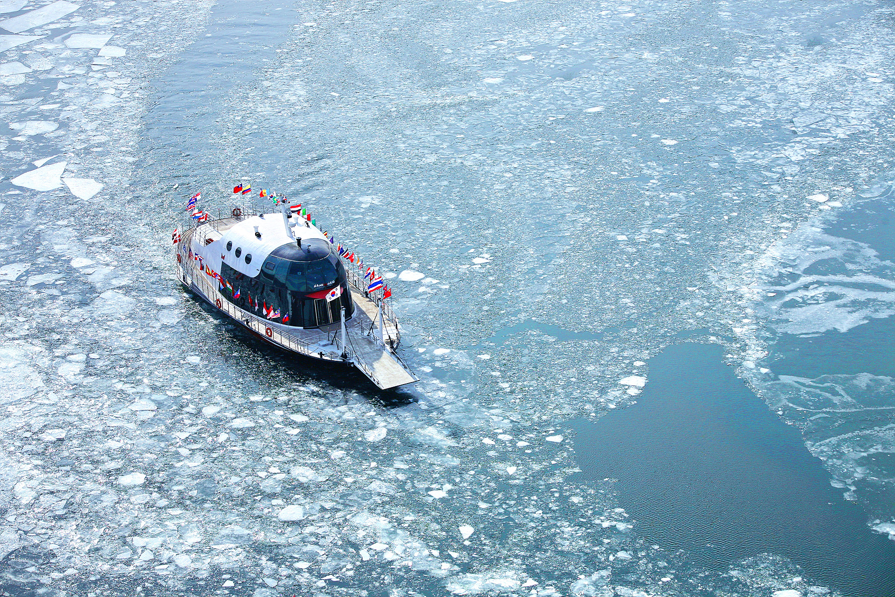 漫步在白雪皚皚的林蔭小徑，隨手捕捉每個轉角的魔幻美景。