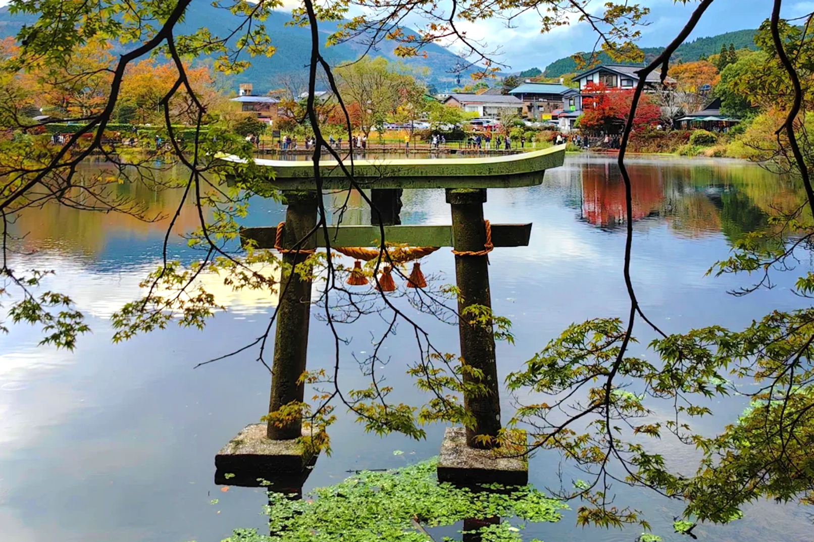 金鱗湖：金鱗湖南側有著一座立於湖中的石造鳥居，其與靜謐湖面和周邊蒼翠樹林共織而成的景色充滿了難以言喻的神秘感，也吸引許多旅客到場拍照打卡。