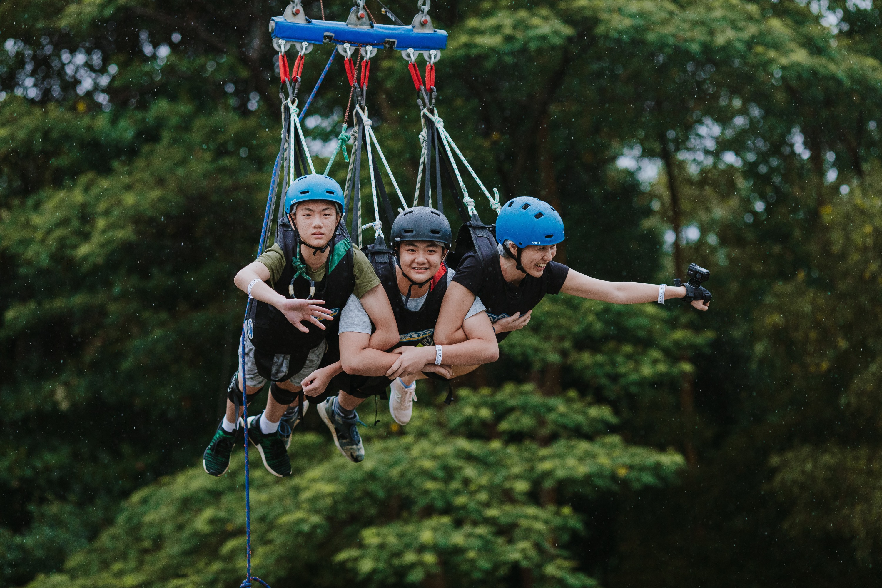 Swing, swoop, scream towards the horizon