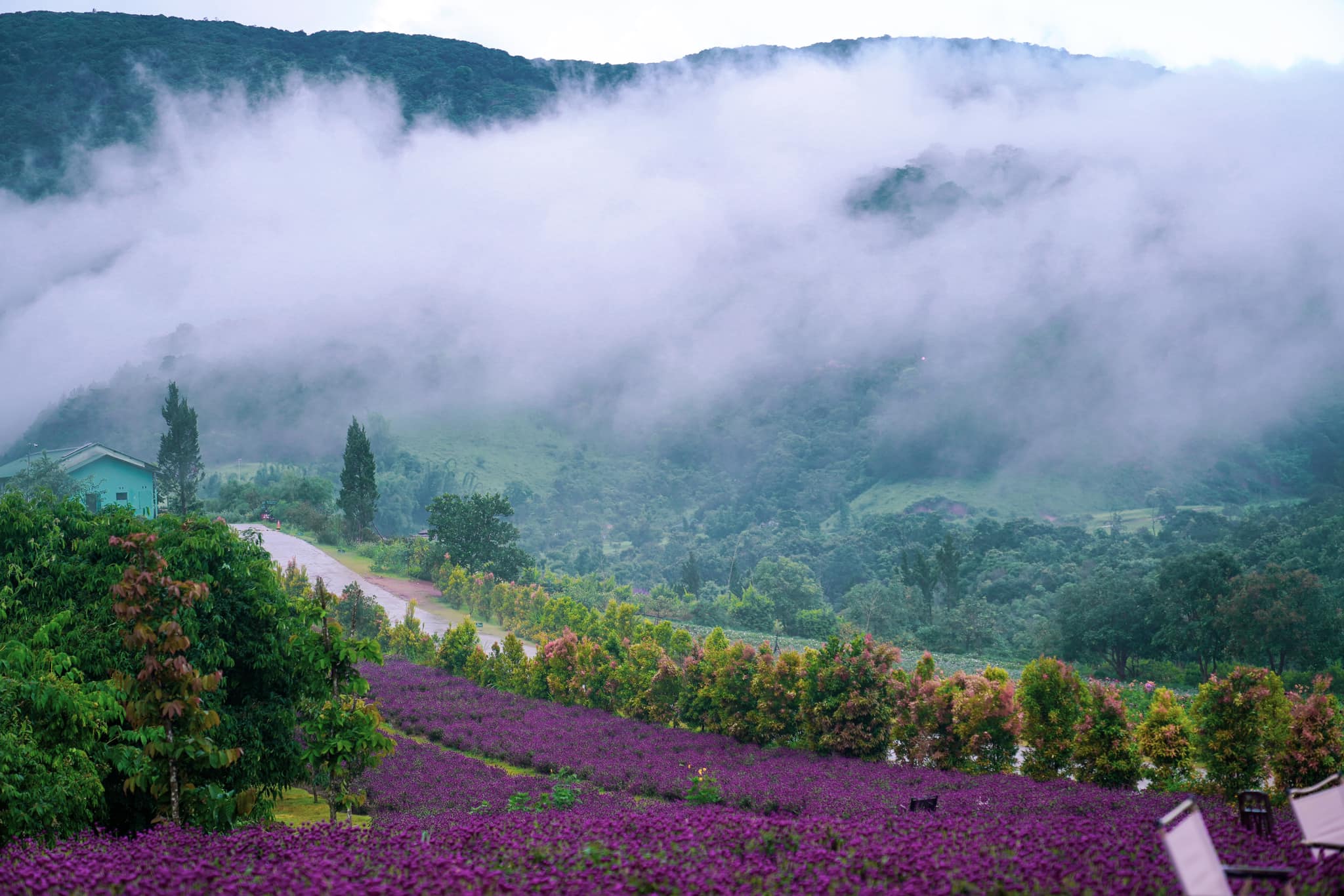 The Florest Ticket in Da Lat City