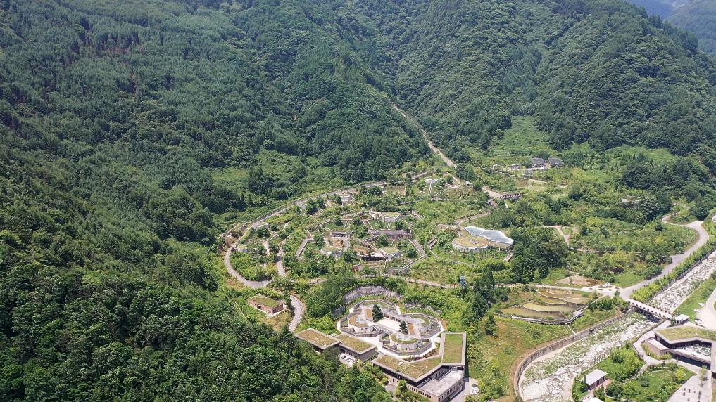 臥龍中国ジャイアントパンダパーク神樹坪基地 日帰りorチャーターツアー（成都）