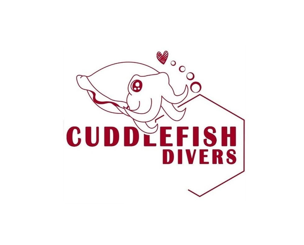 新加坡 Cuddlefish Divers 潛水體驗