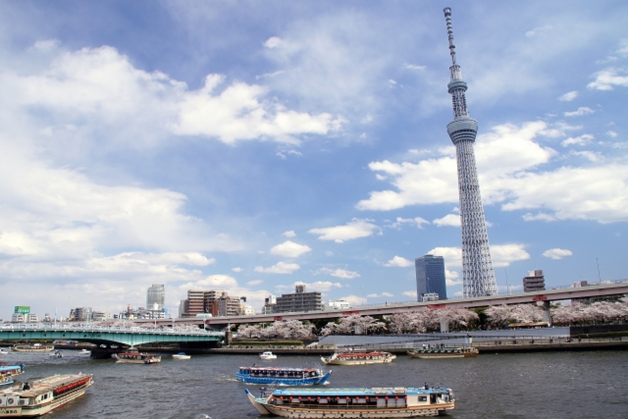 東京櫻花季網田屋形船午餐遊船方案