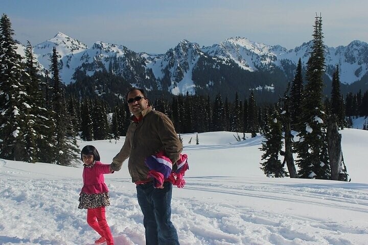 西雅圖雷尼爾山國家公園 (Mt. Rainier National Park) 私人 SUV 全日遊