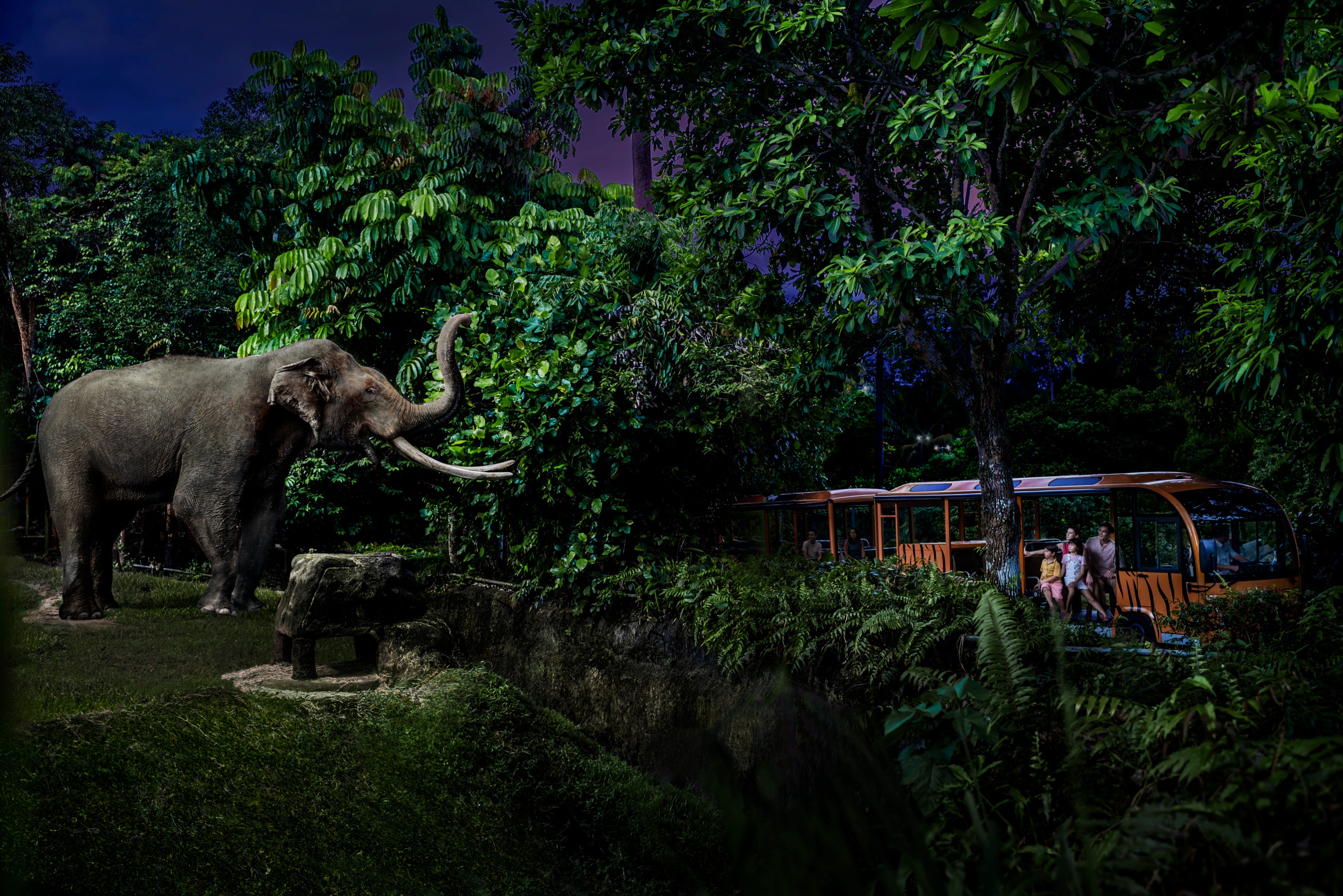 elephant in night safari tram ride